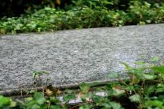 Wagner's grave